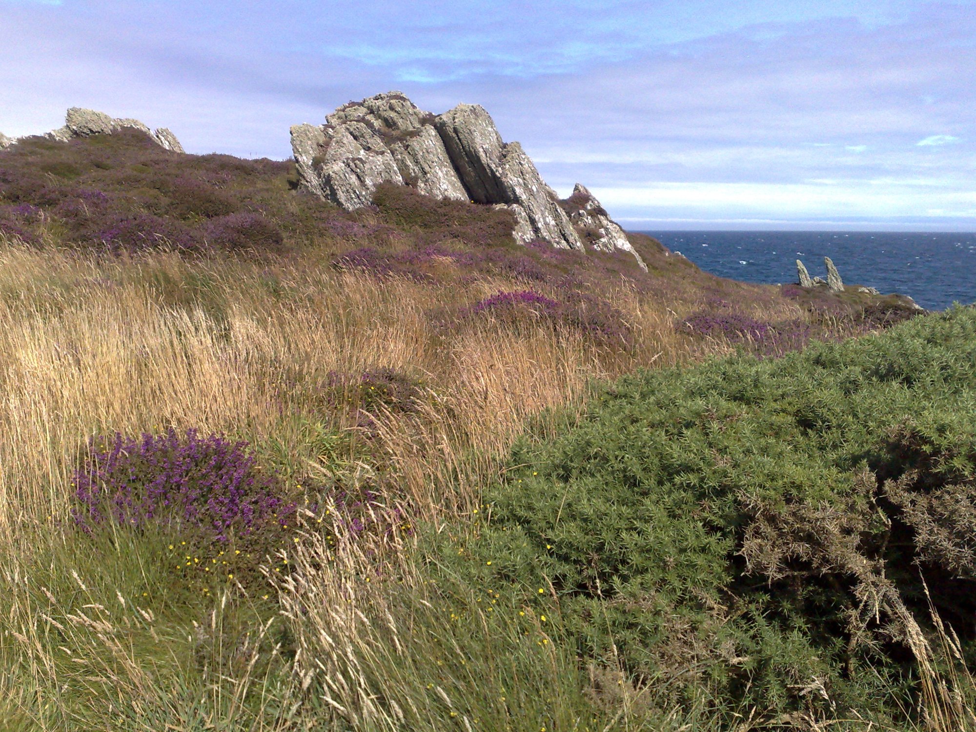 Heather on Langness