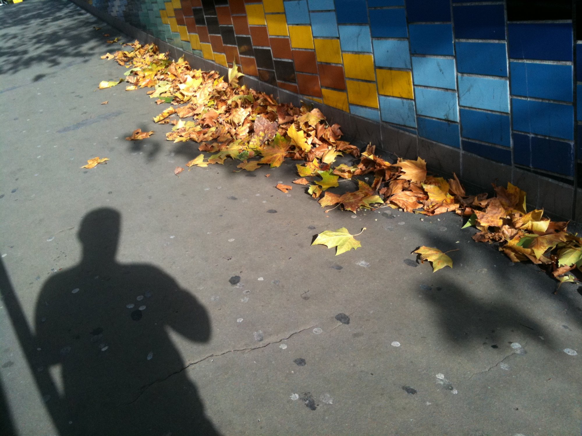 Autumn time