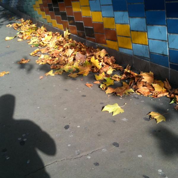 Autumn time