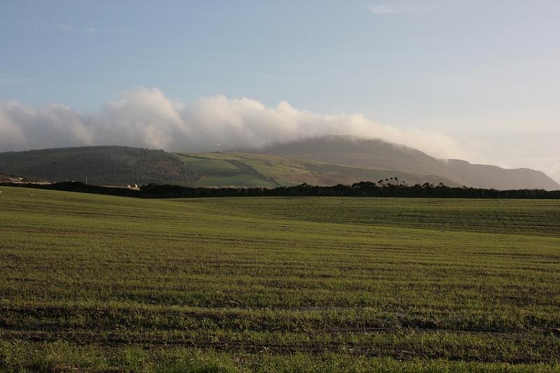 Rolling over the tops