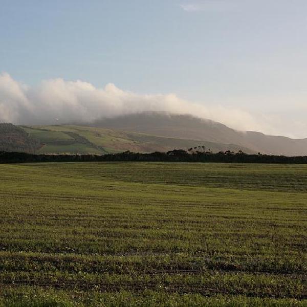 Rolling over the tops