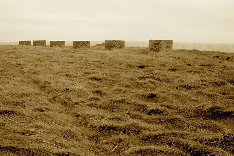 Sea defences at Langness