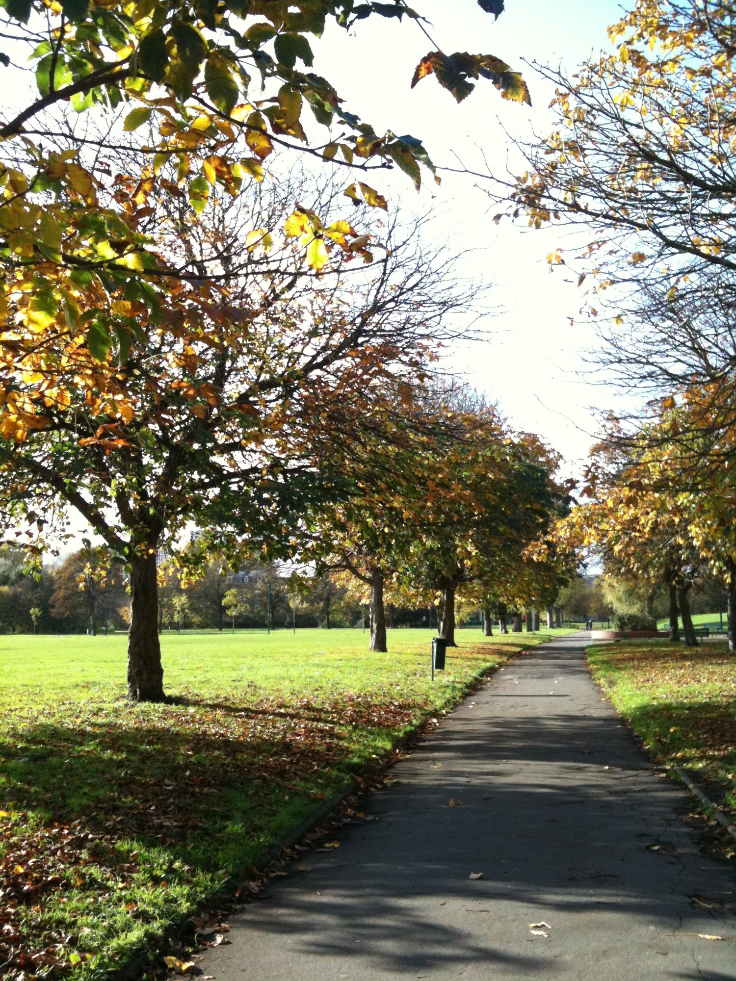 A wander through Burgess Park