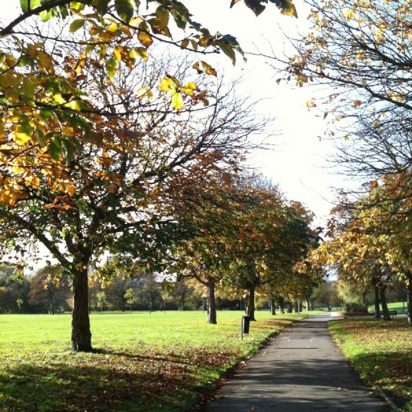 A wander through Burgess Park