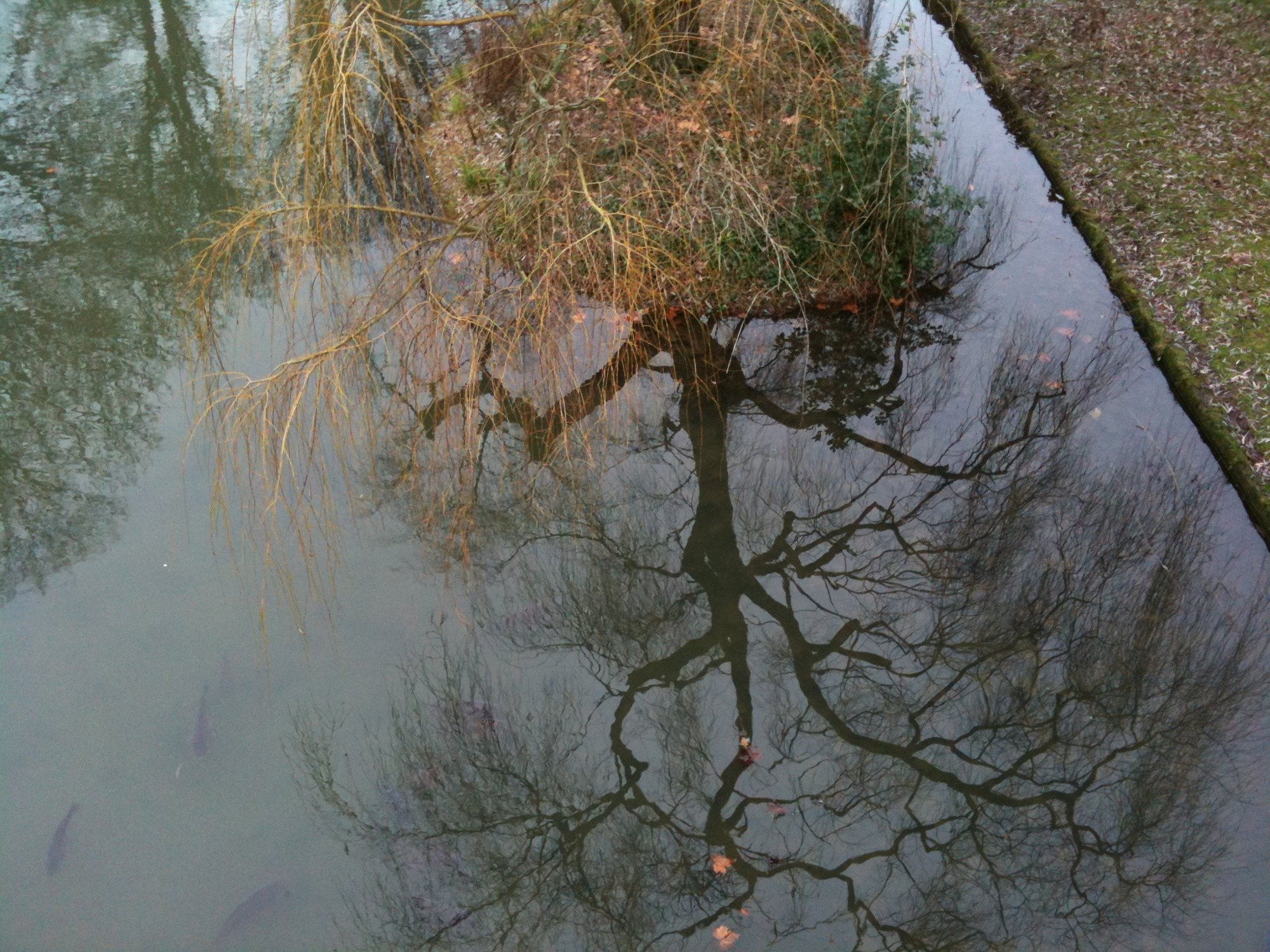 Inversion