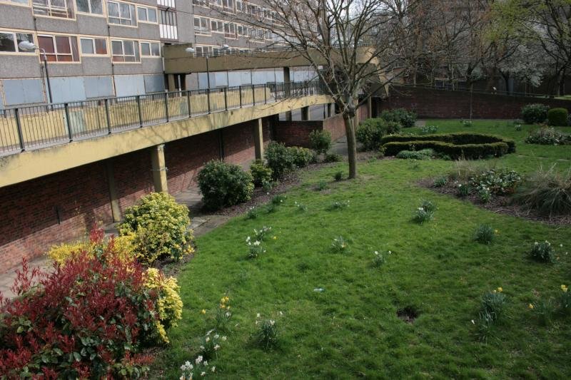 Urban garden