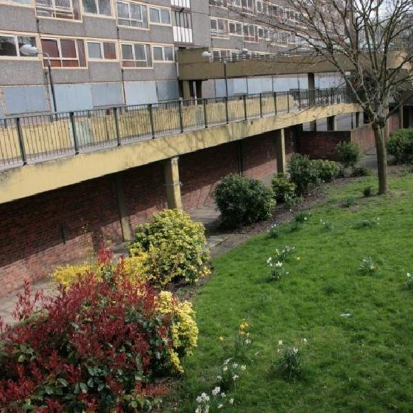 Urban garden