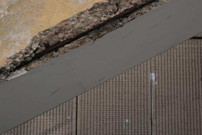 Urban rot