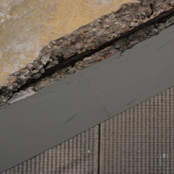Urban rot