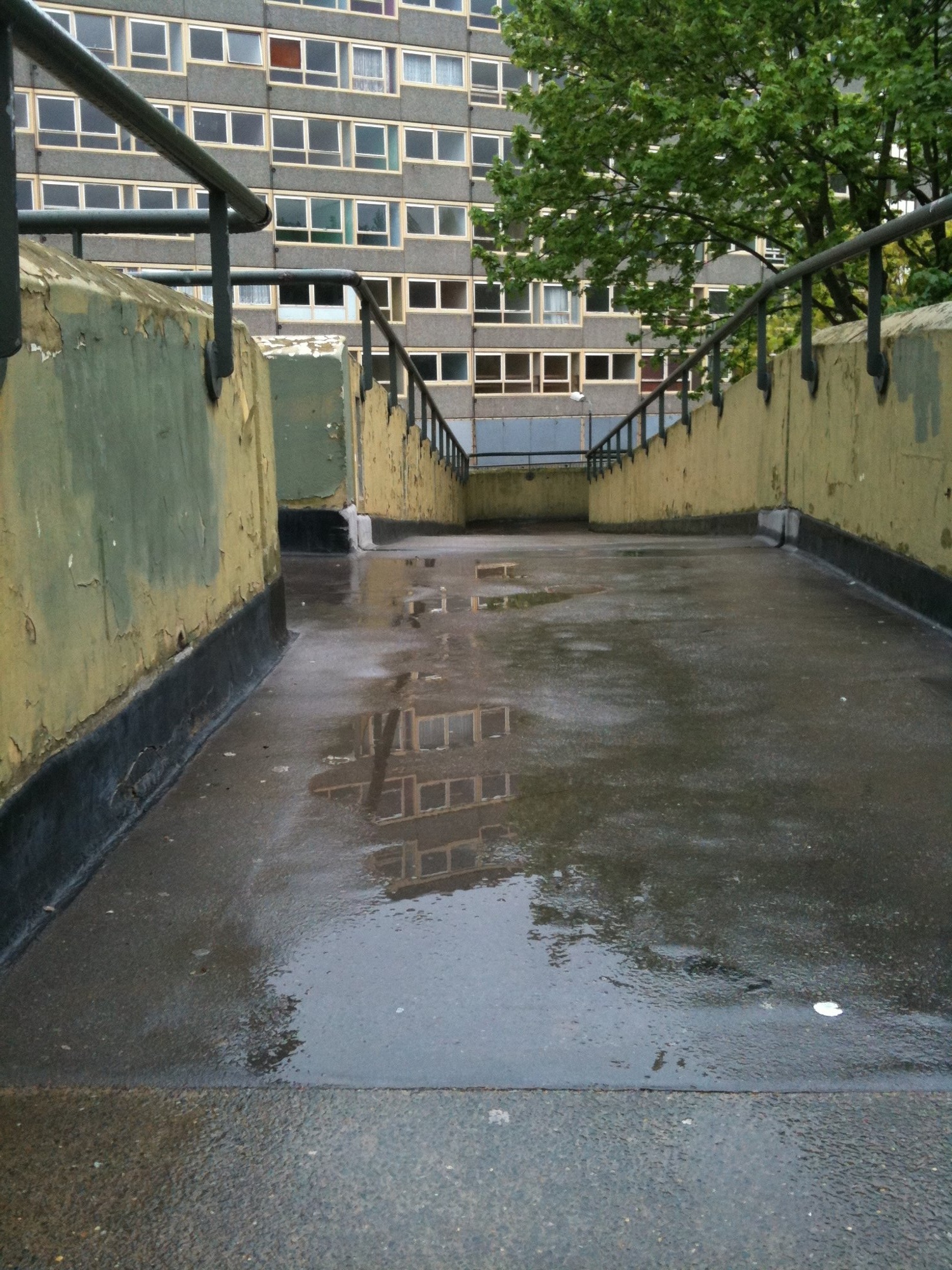 Heygate reflection