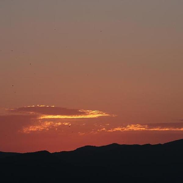 Soaring