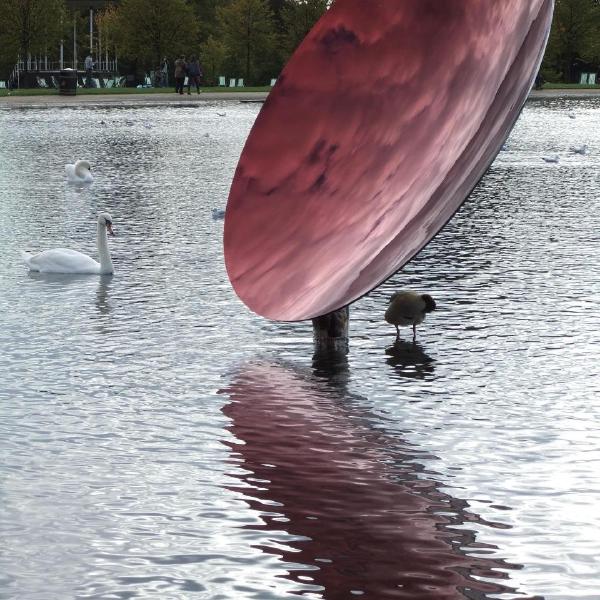 Mirror in the lake