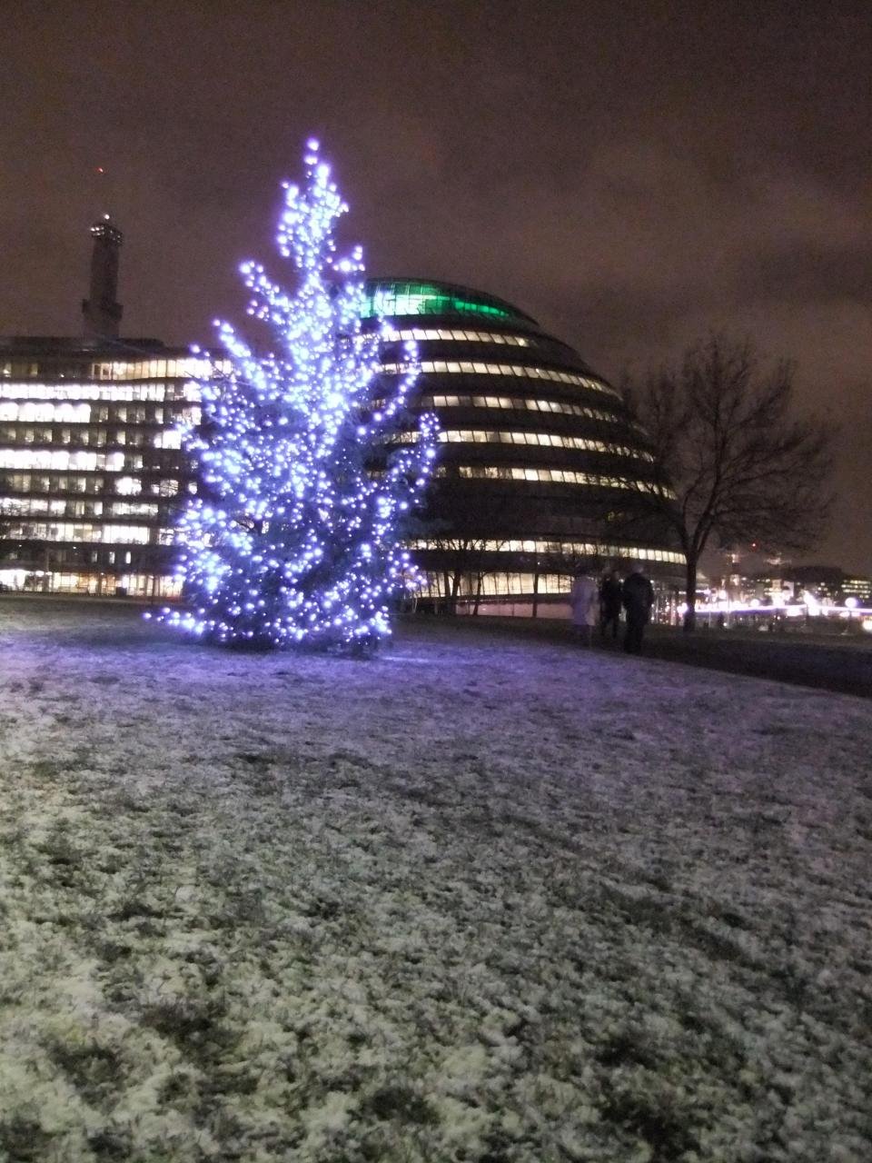 Christmas Tree by City Hall