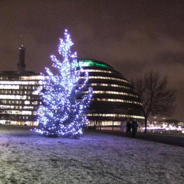 Christmas Tree by City Hall