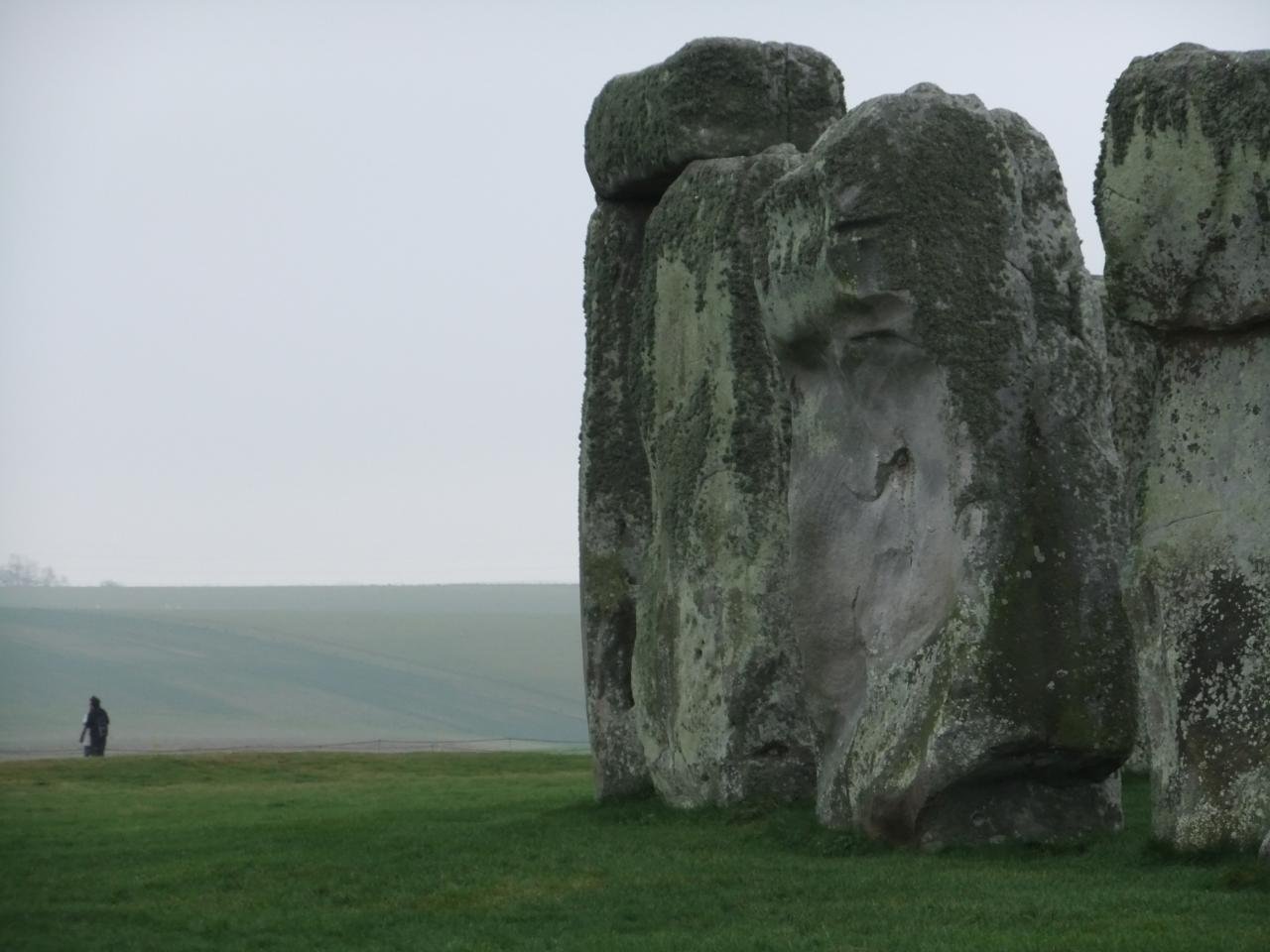 Face in the stone