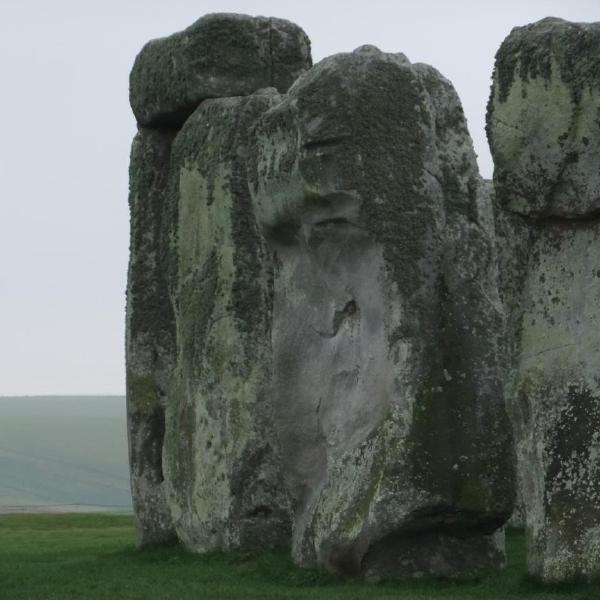 Face in the stone