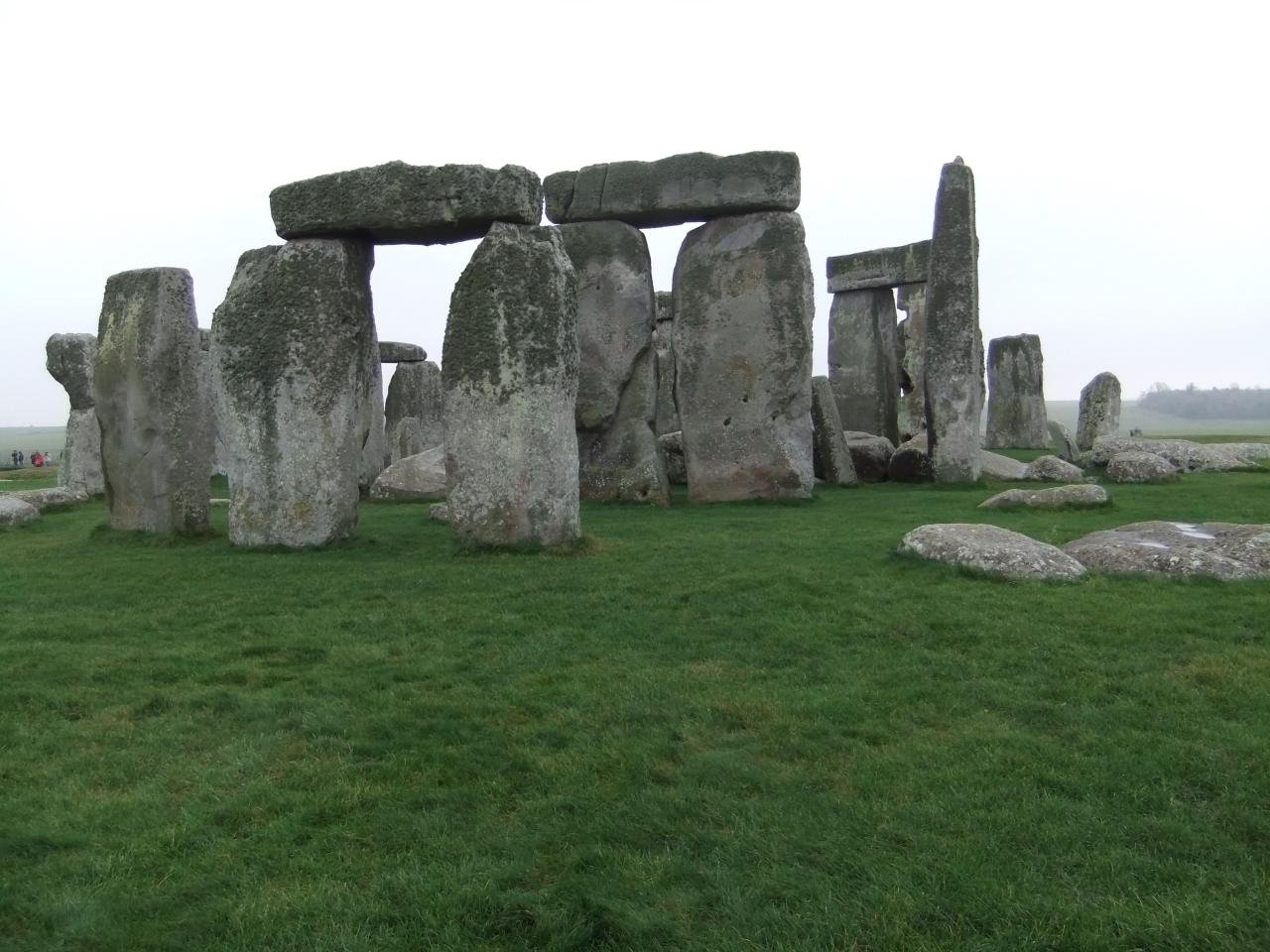 Lichens on the stones