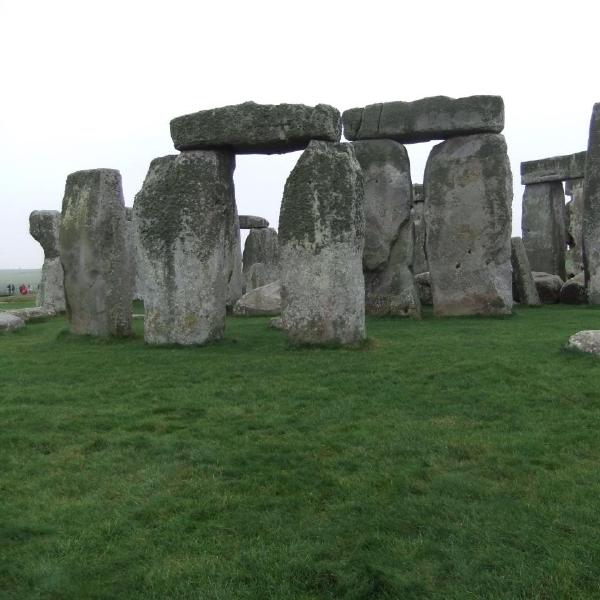 Lichens on the stones