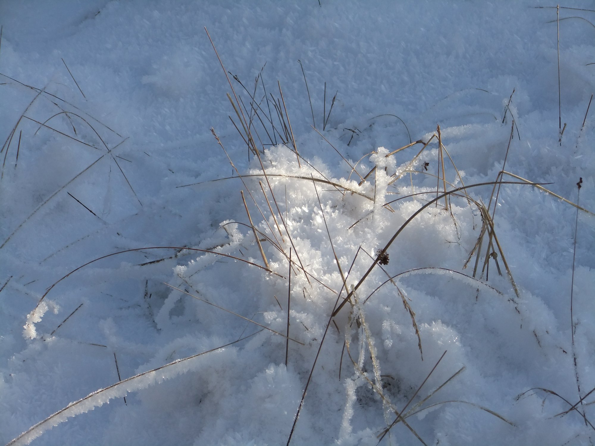 Covered in snow