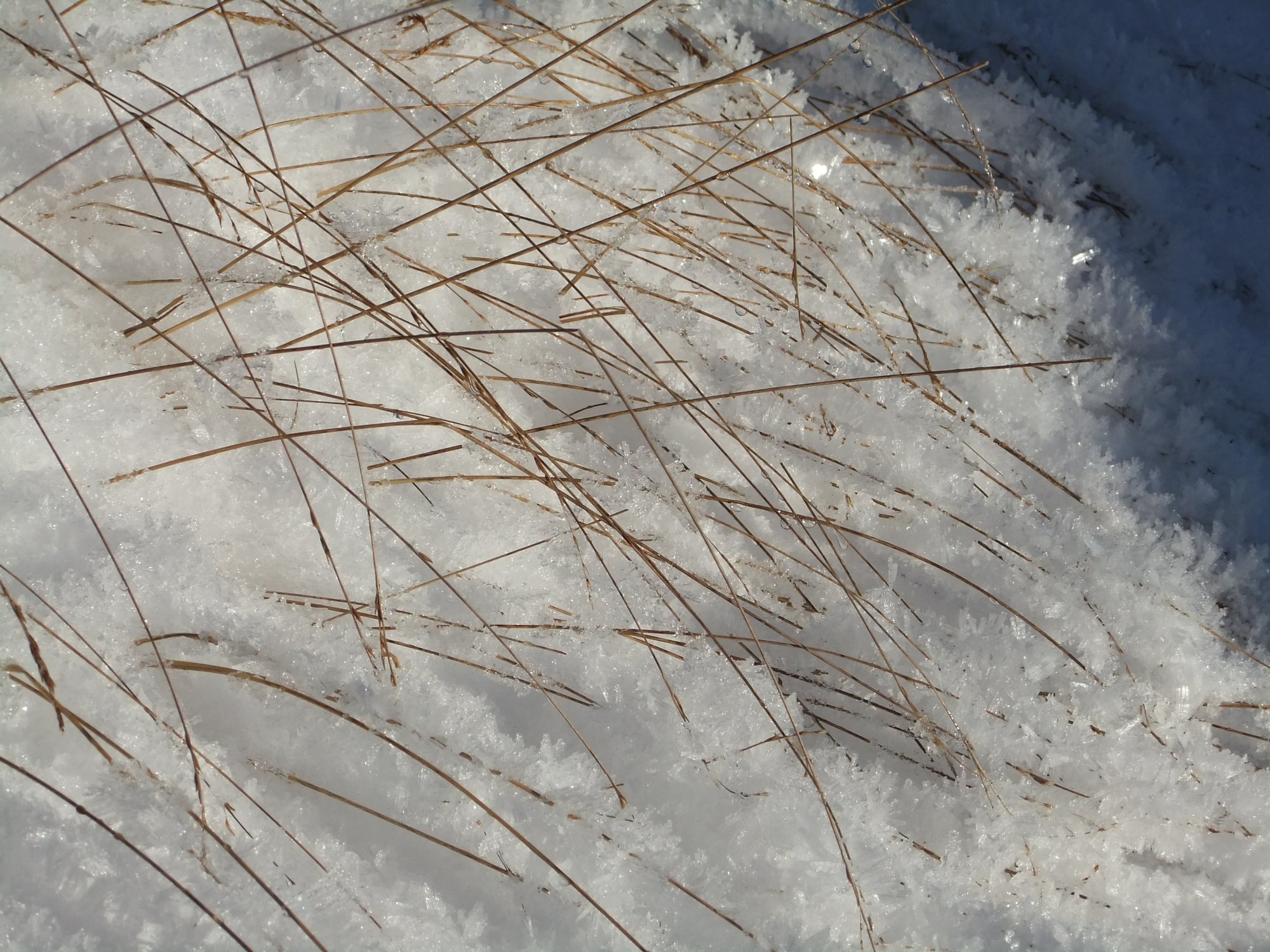 Crystaline lines