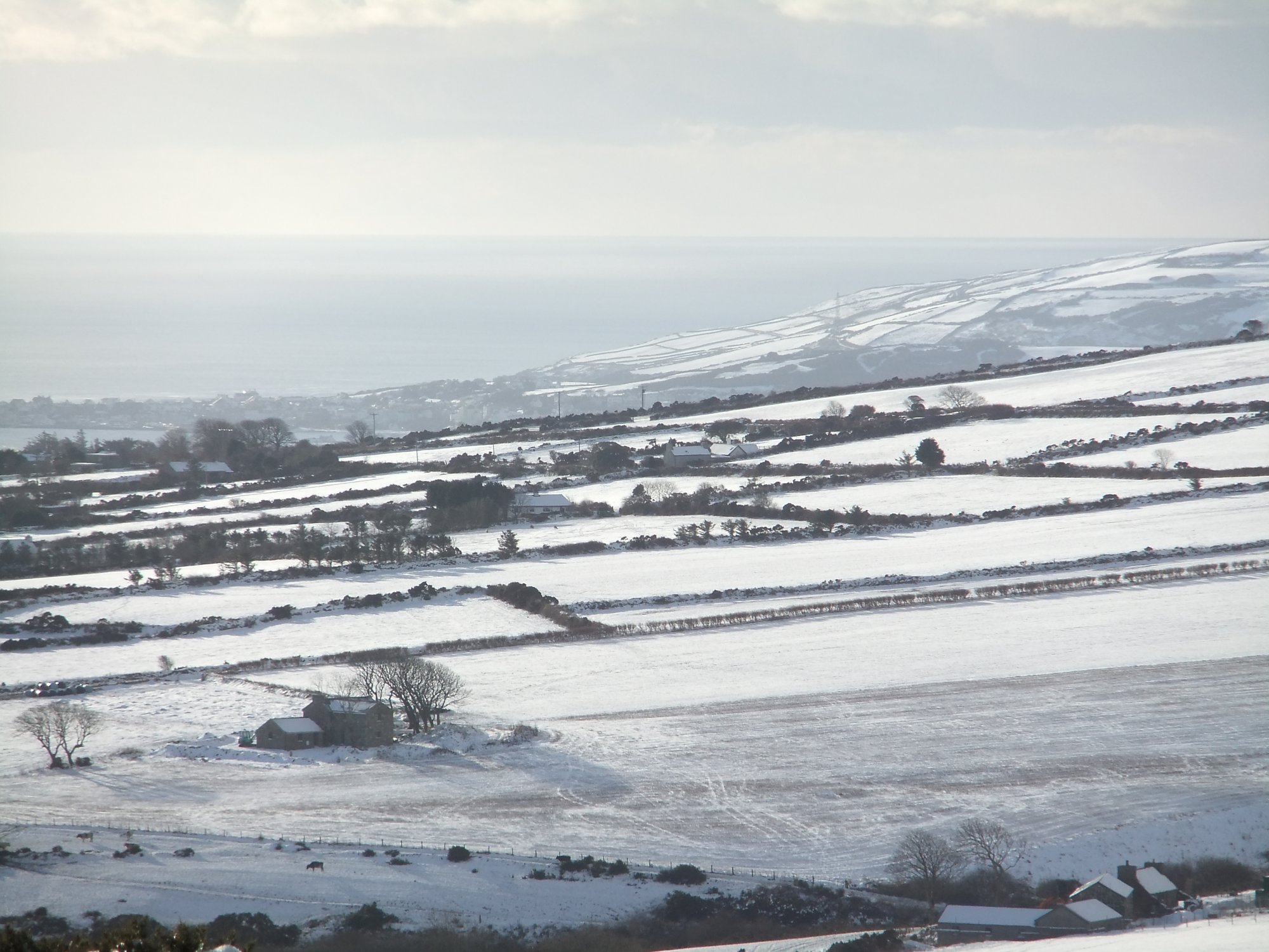 Farms in the snow
