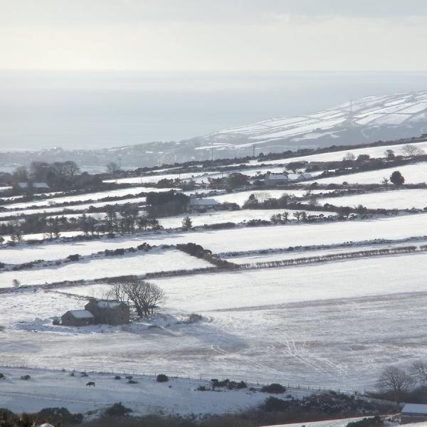 Farms in the snow
