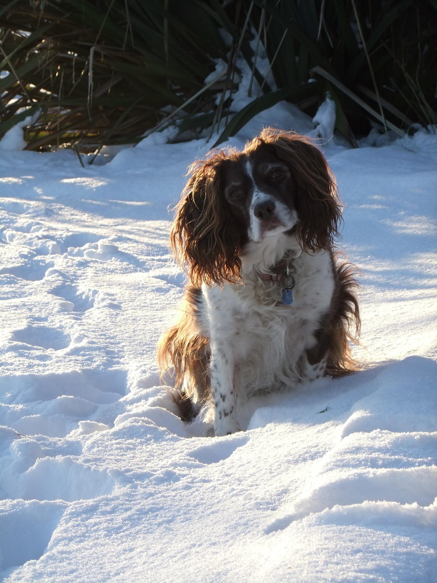 Lucy
