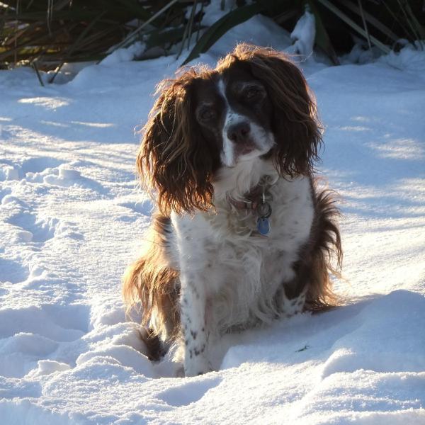 Lucy