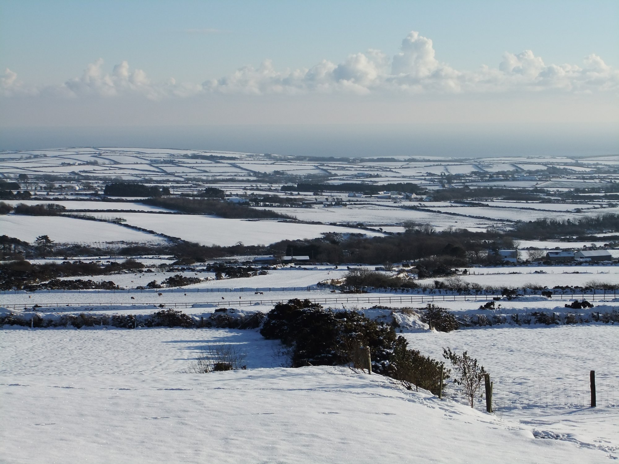 Snow fields