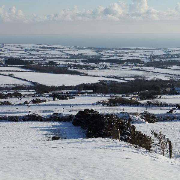 Snow fields