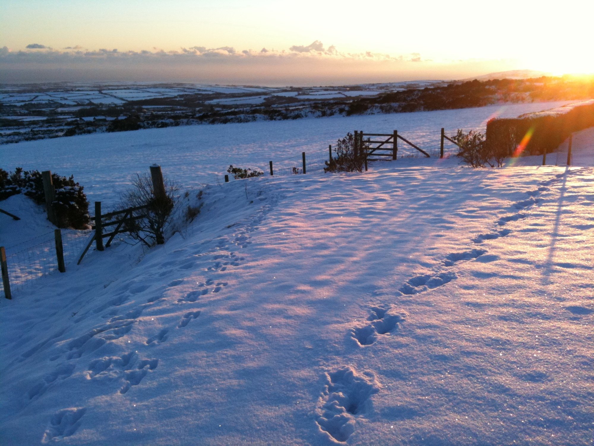 Snow tracks at sunset