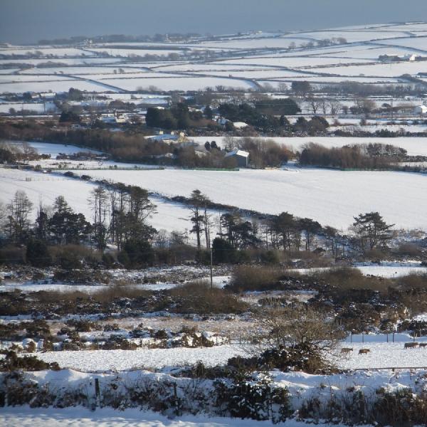 Snowy fields