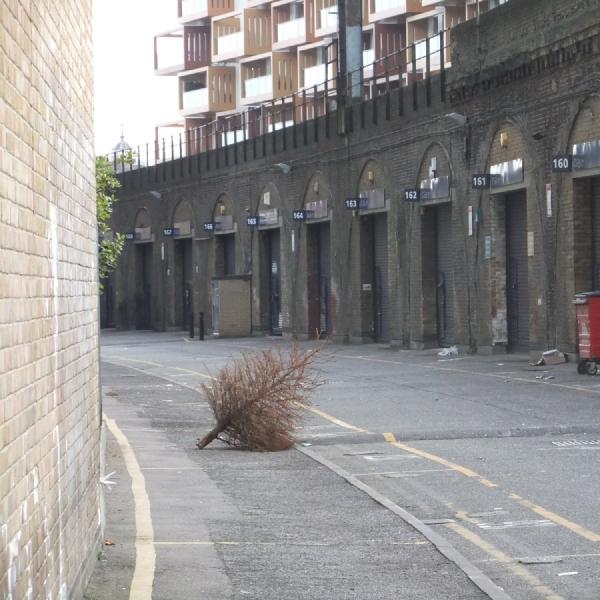 Abandoned baum