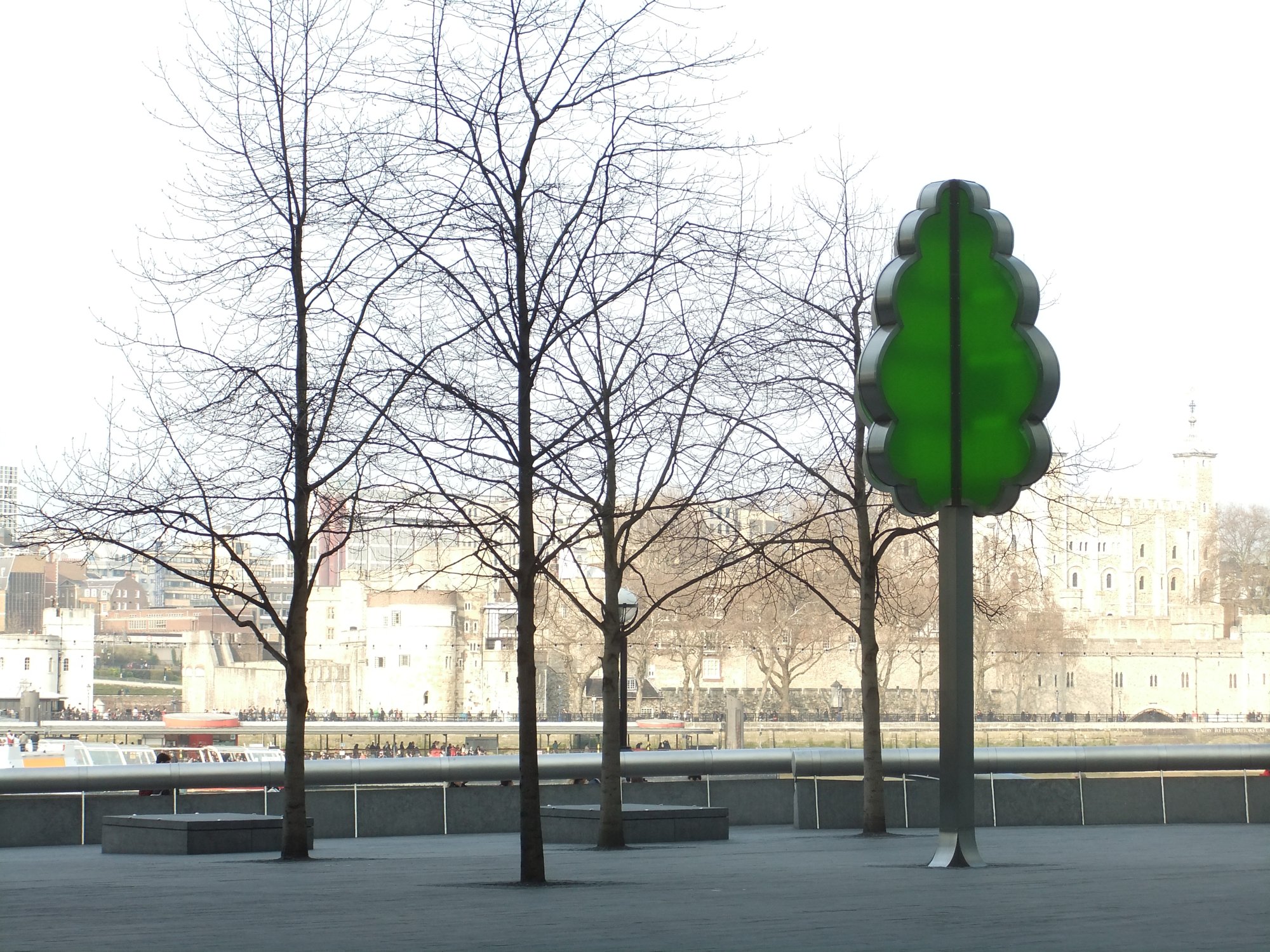 Urban trees