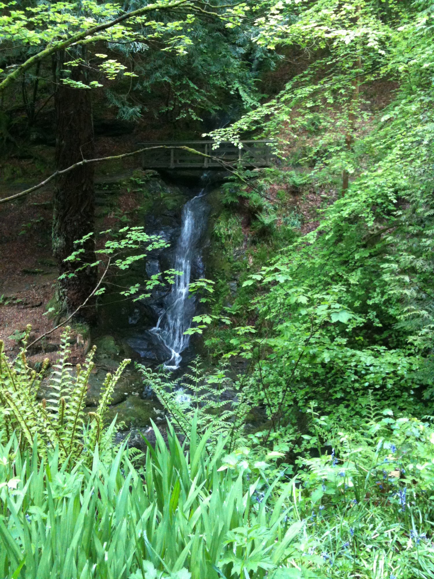 Waterfall