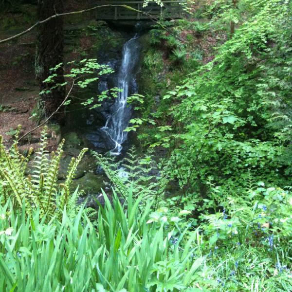 Waterfall