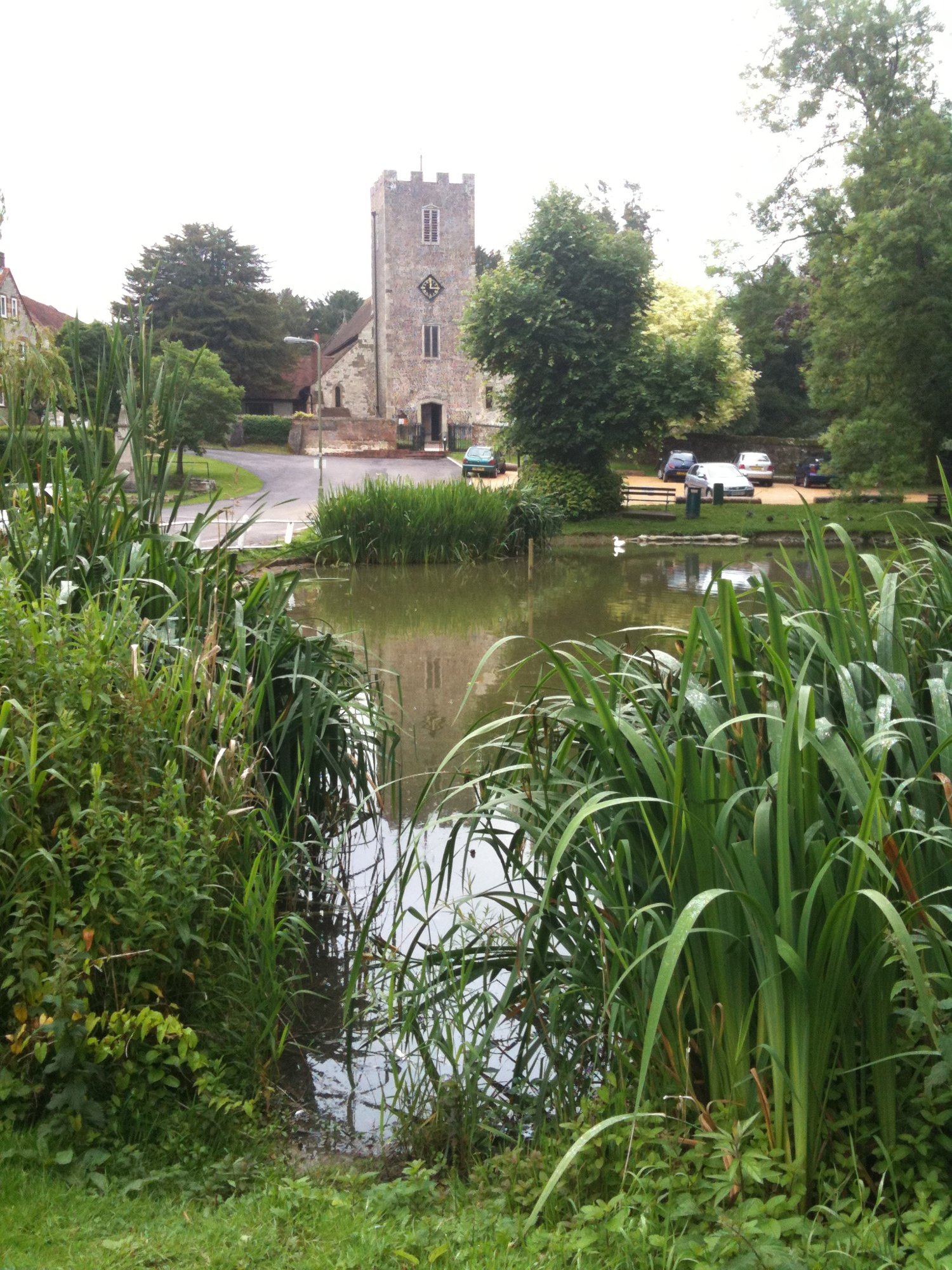 Buriton pond