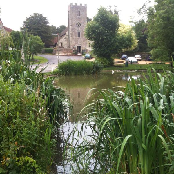 Buriton pond