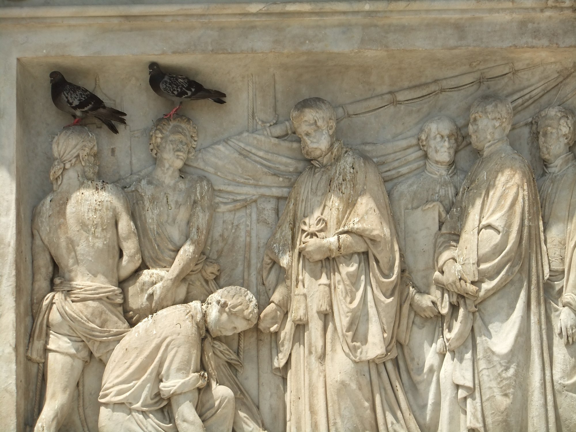 Pigeons perching
