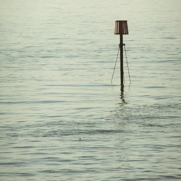 Sitting in the water