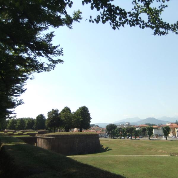 The walls in Lucca