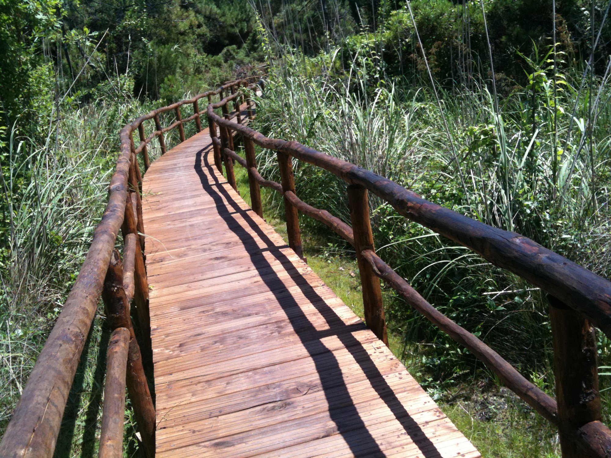 Walkway to the reserve