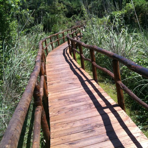 Walkway to the reserve