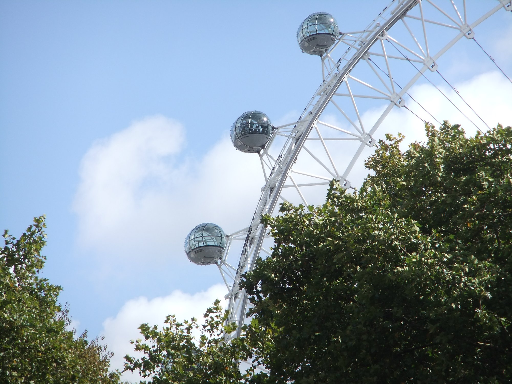 A glimpse of the eye
