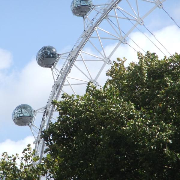 A glimpse of the eye