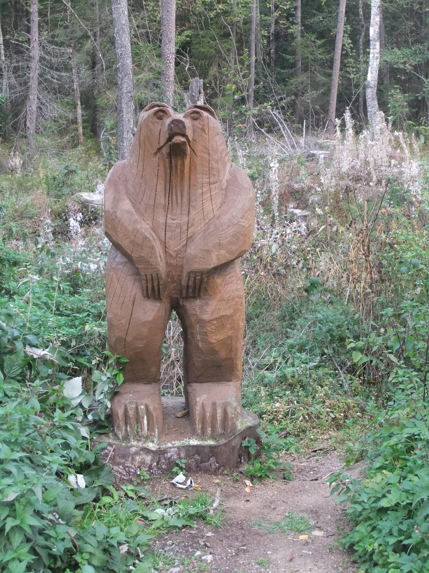 Bear