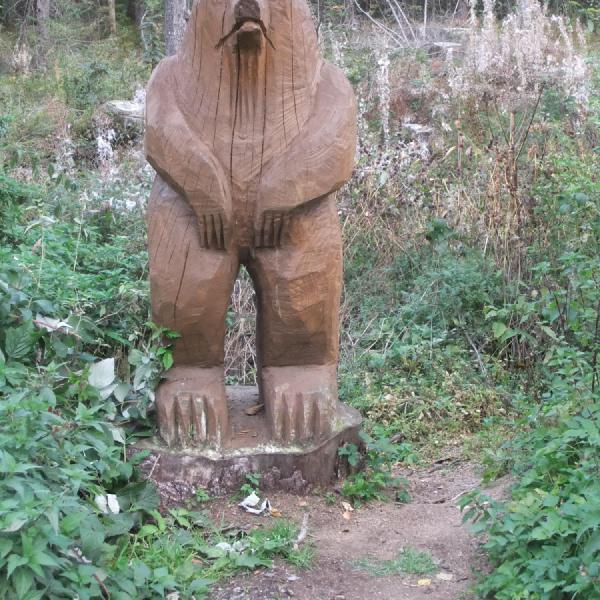 Bear