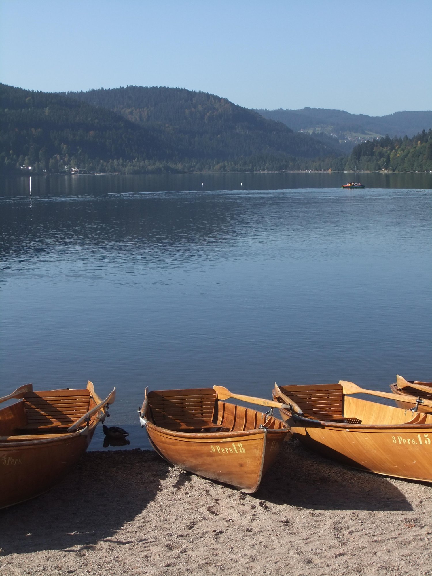 Boats in wait