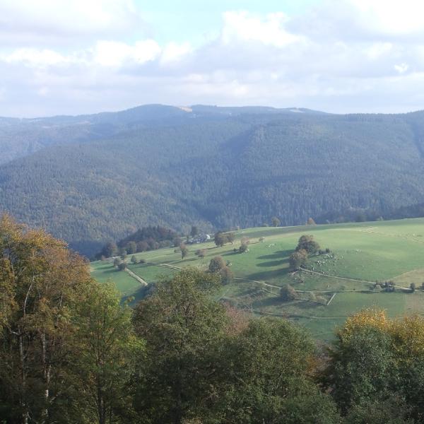Deutsche Landschaft