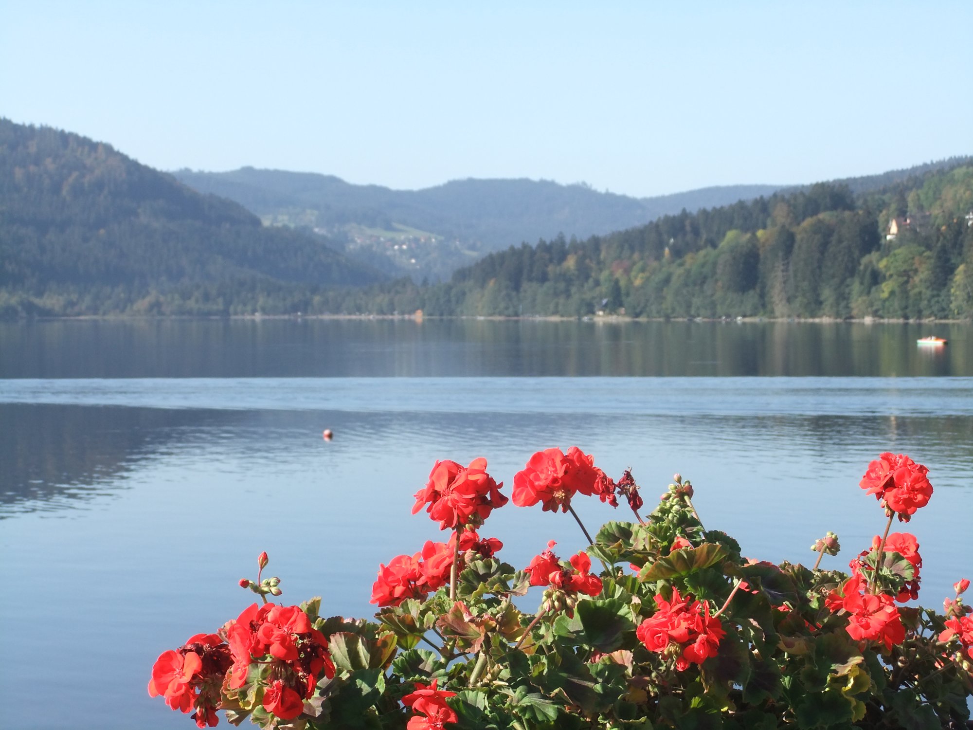 Die schönsten ausblick